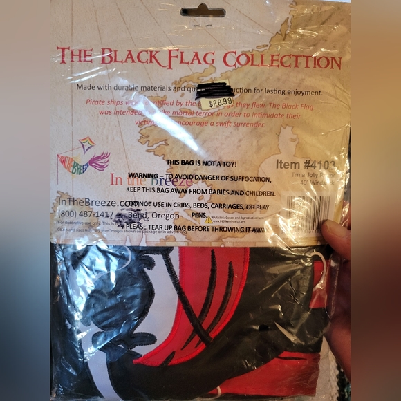 NWT Im a jolly roger windsock featuring a pirate - Picture 3 of 5